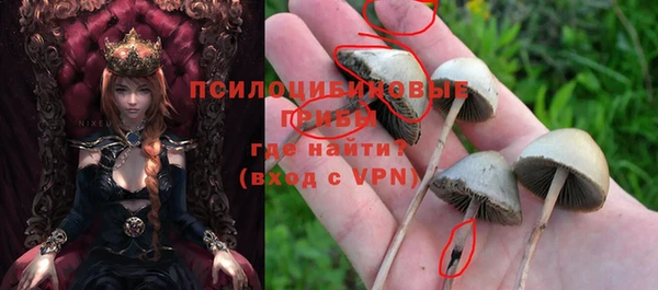 сатива Белоозёрский