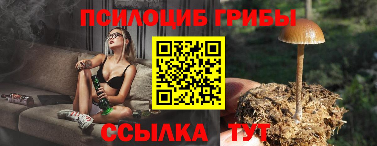 Псилоцибиновые грибы Psilocybe Горячий Ключ