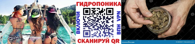 где продают   Горячий Ключ  МАРИХУАНА сатива 
